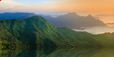 cover-image-4