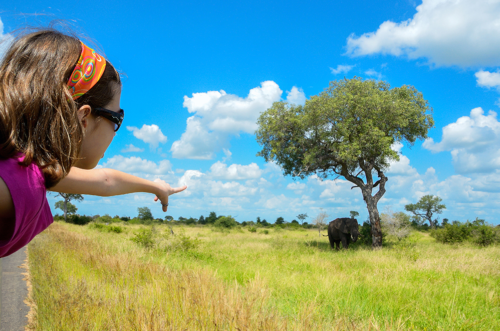 kruger-park-afetur-turismo