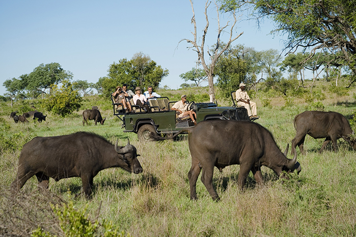 kruger-park2-afetur-turismo